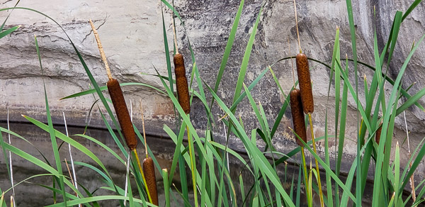 El Morro National Monument, New Mexico